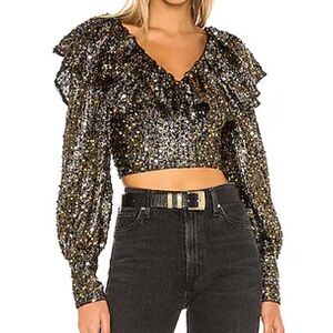 NWOT Tularosa Presley Sequin Top